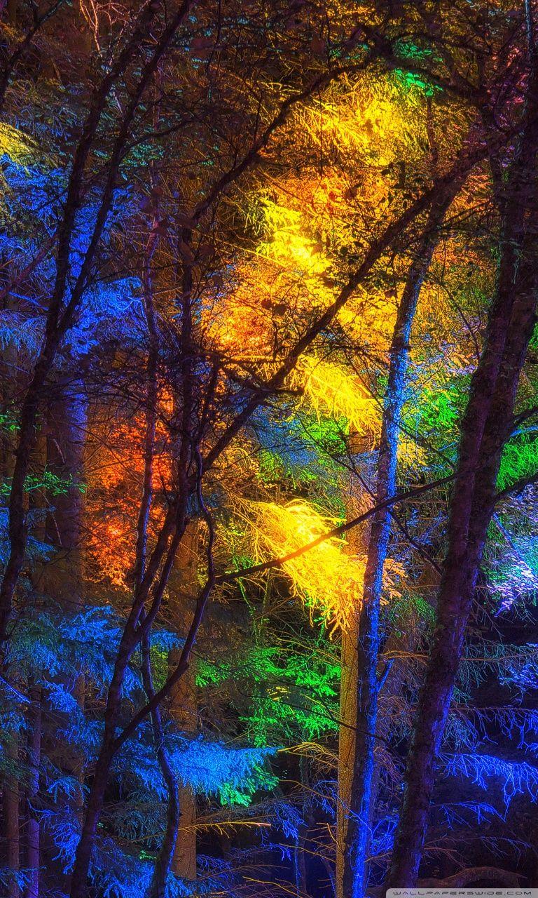 768x1280 Colorful Forest Ultra HD Desktop Background Wallpaper for 4K UHD TV : Widescreen & UltraWide Desktop & Laptop : Multi Display, Dual Monitor : Tablet