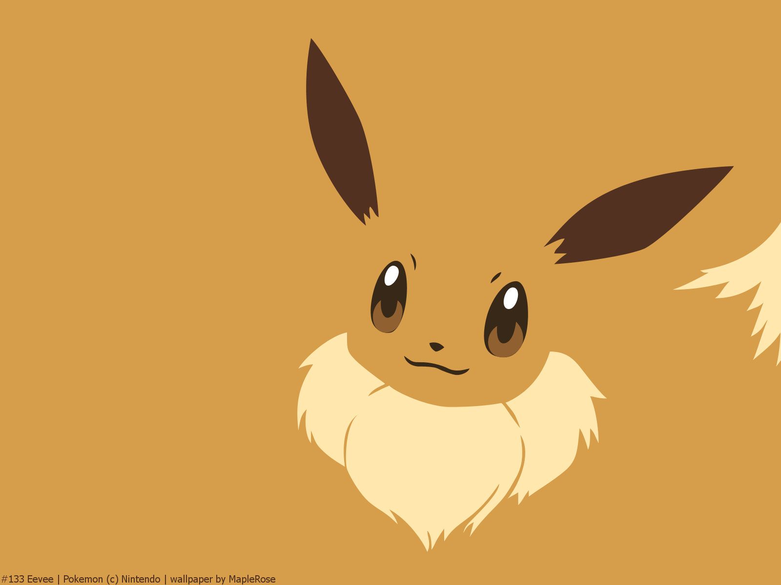 Pokemon Eevee Wallpapers  Top Free Pokemon Eevee Backgrounds   WallpaperAccess