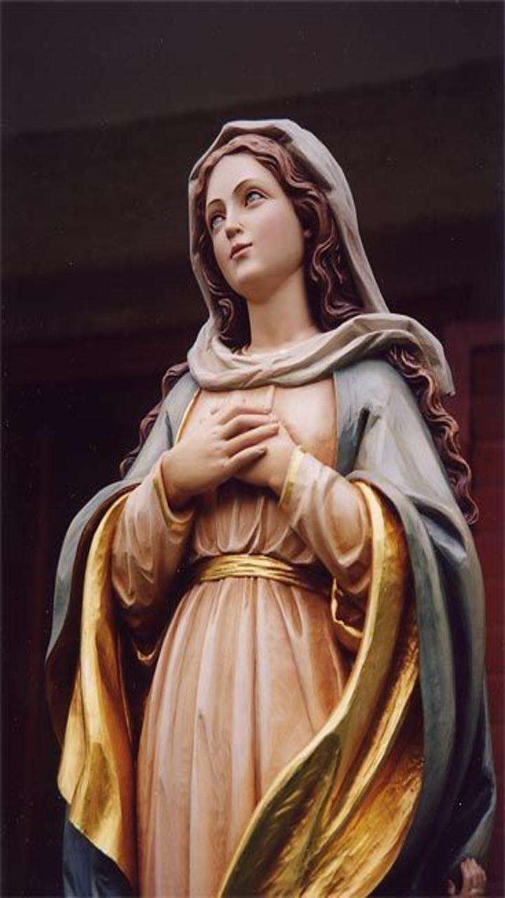 720x1280 Virgin Mary Wallpaper for Android