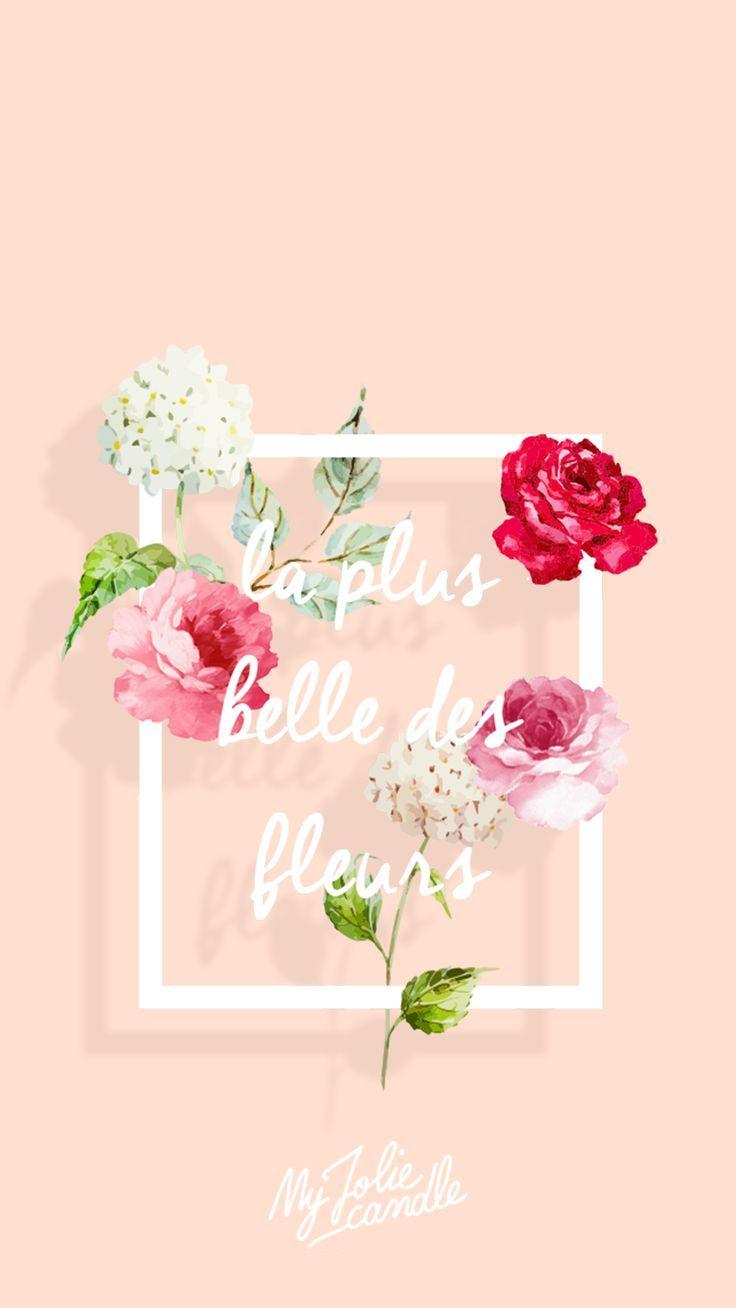 736x1308 Cute pc background