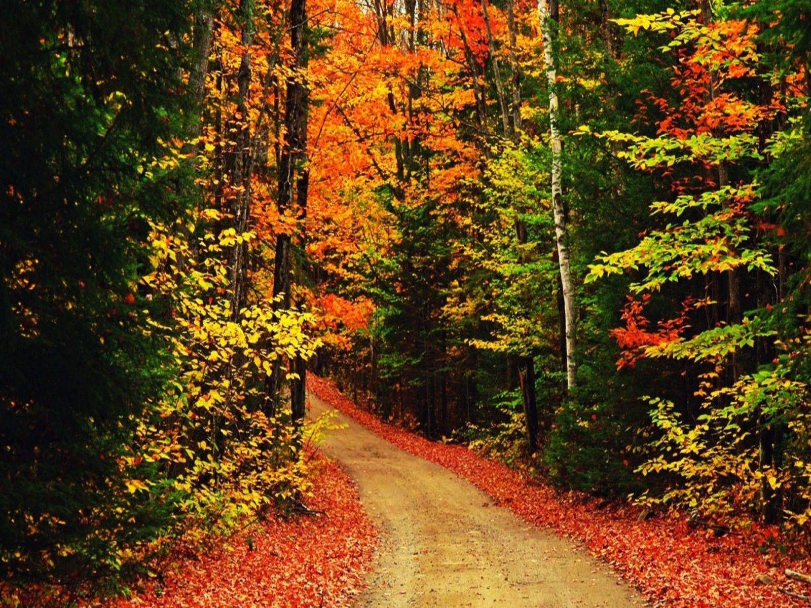 1600x1200 iPhone Wallpaper HD Top iPhone Wallpaper Best iPhone Resolution Autumn Wallpaper For Mac HD Wallpaper