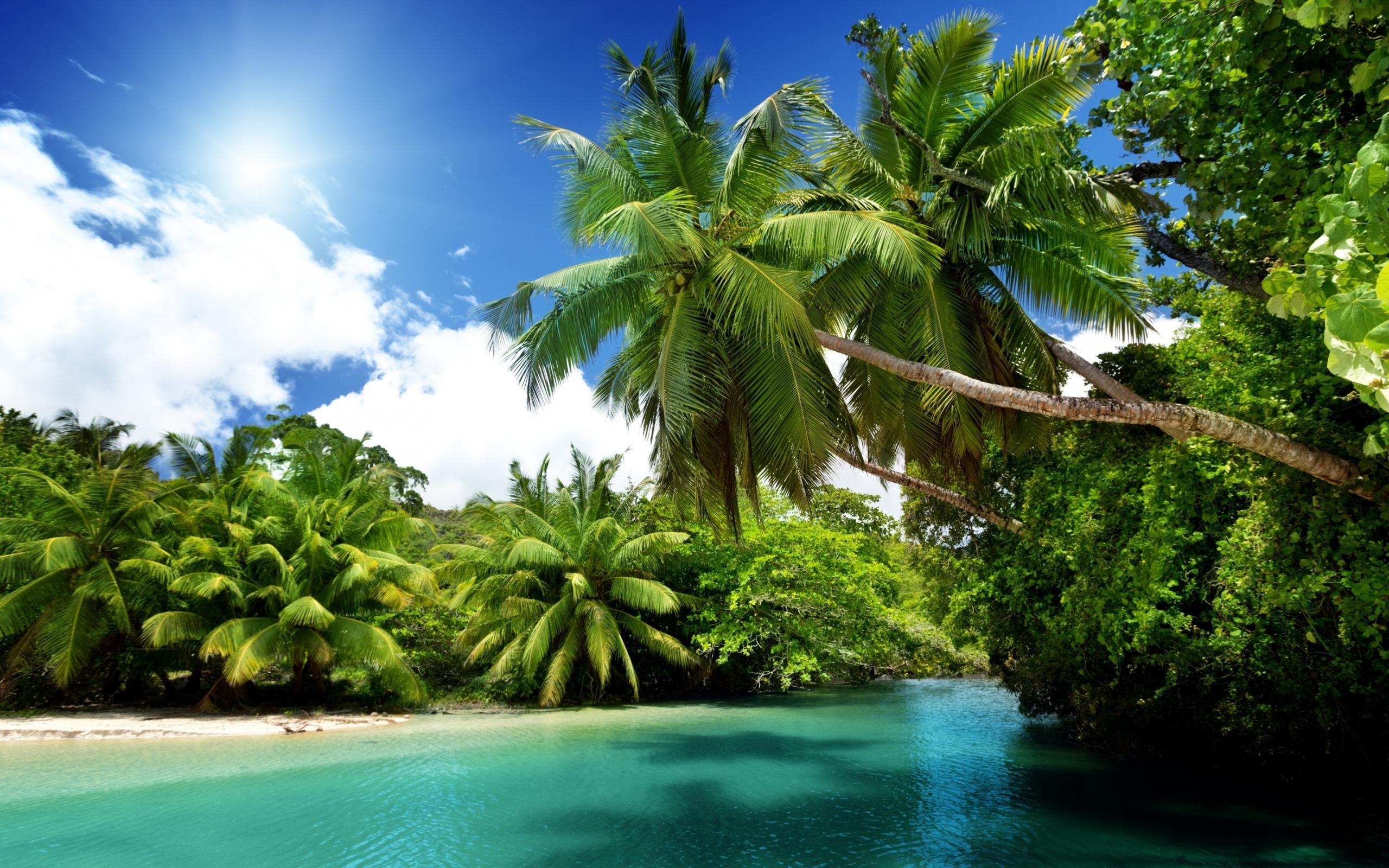 2560x1600 Exotic Beach Wallpaper