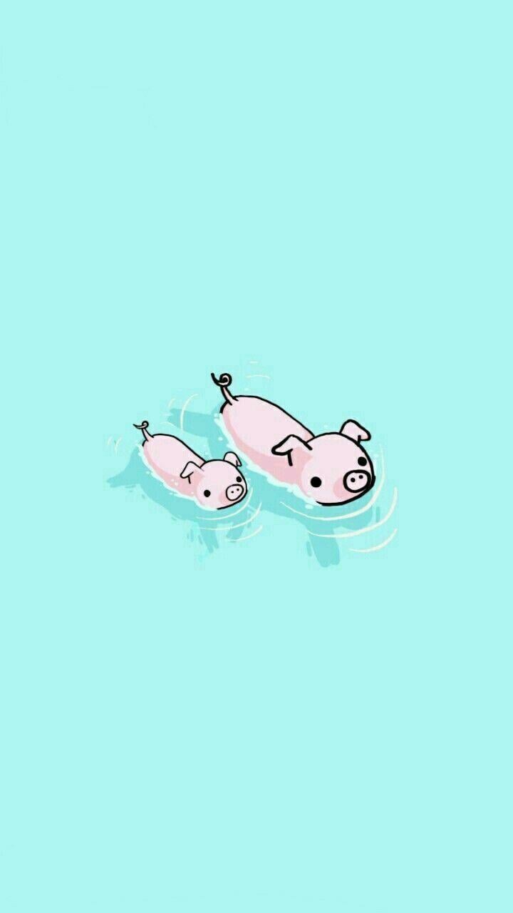 Cute Pig Wallpapers (63+ images)