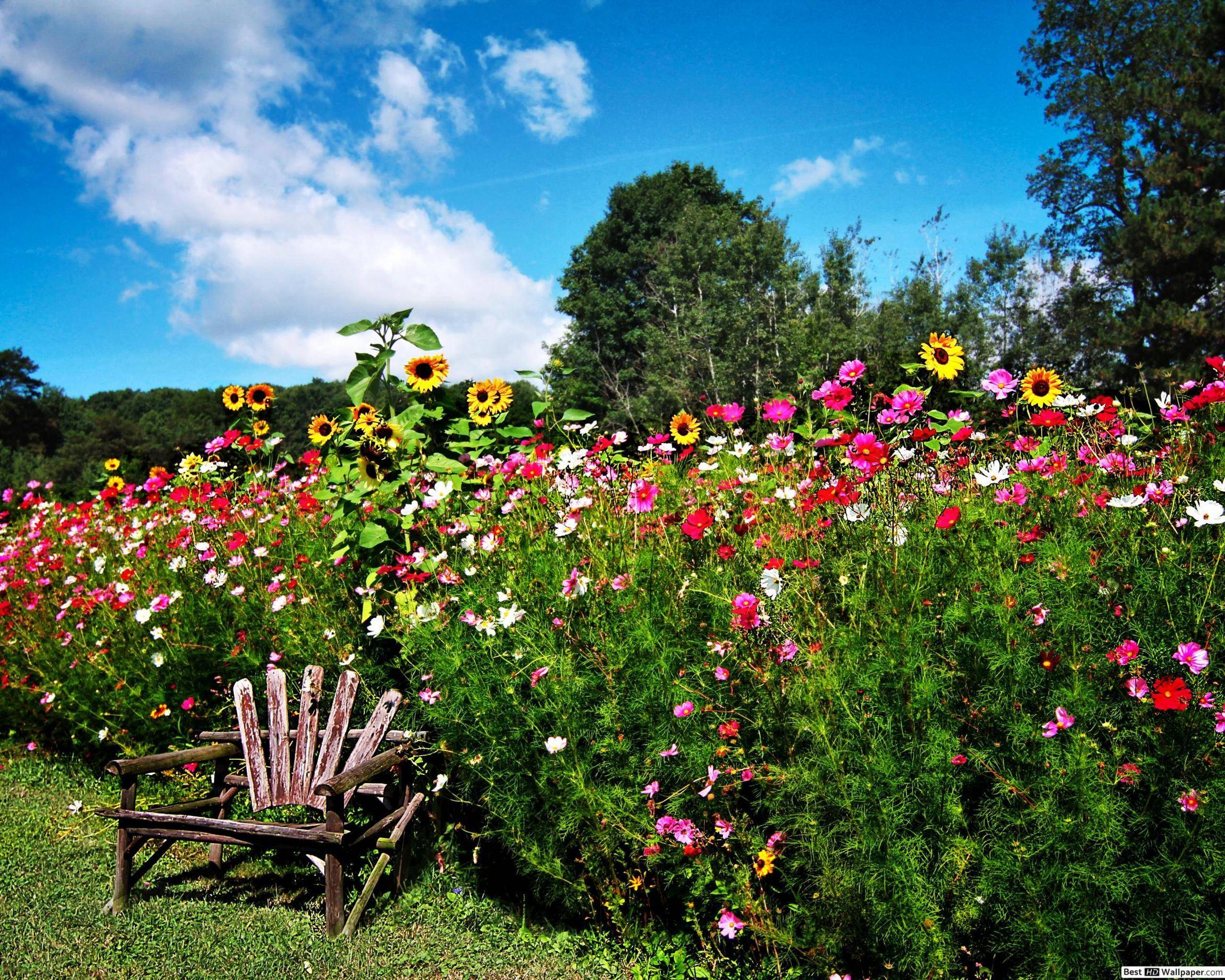 2560x2048 Flowers in English springtime garden HD wallpaper download