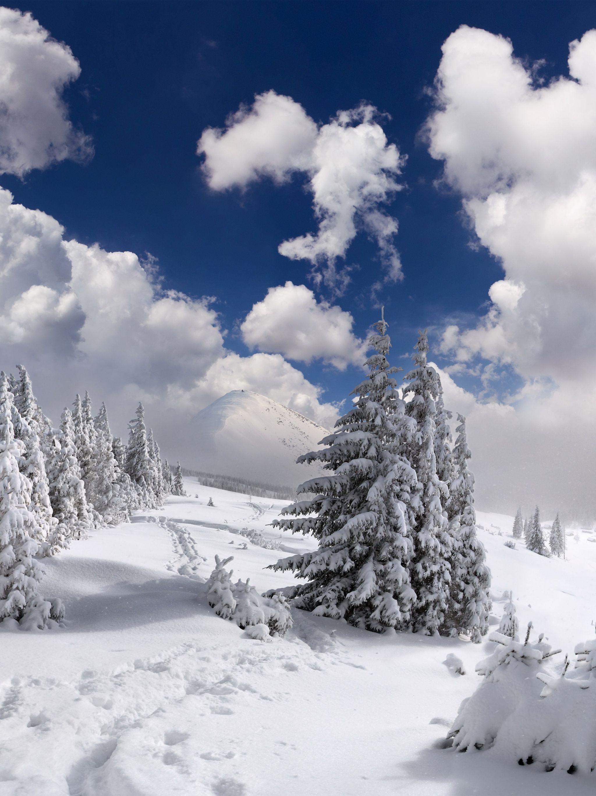 2048x2732 Free download Landscape Colourful ForestHD Nature Wallpaper Image [6000x4460] for your Desktop, Mobile & Tablet. Explore Free Snow Wallpaper. Snow Wallpaper For Desktop Free, Free Winter Snow Desktop Wallpaper