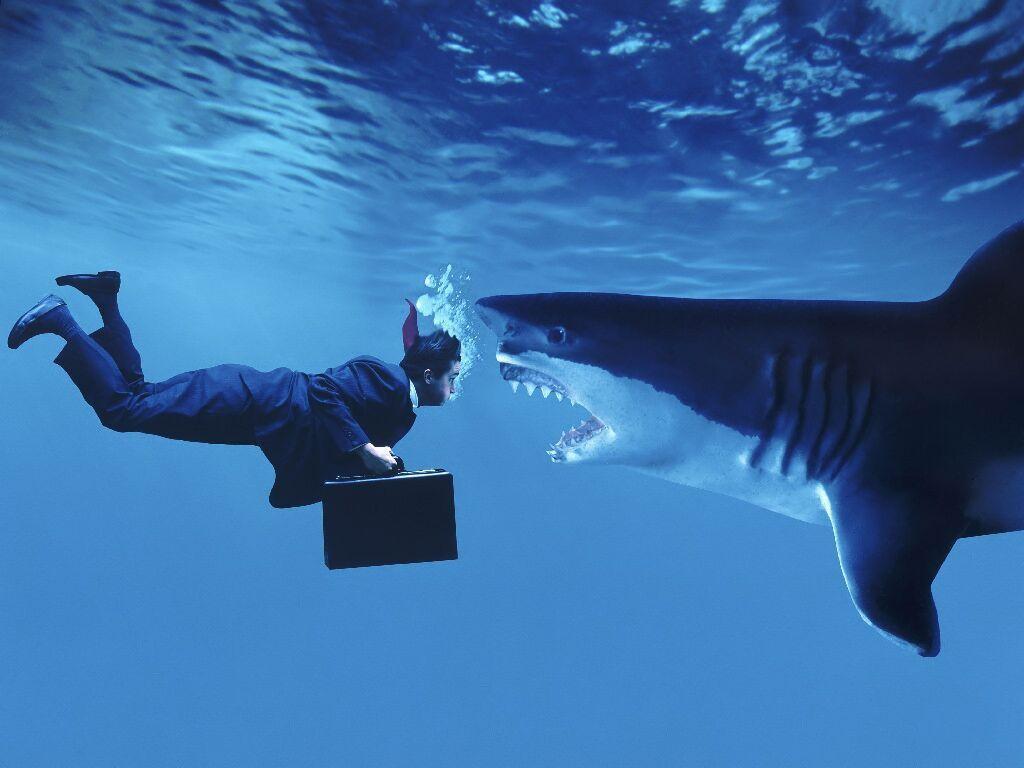 1024x768 Predatory Business With Bank Loan Sharks < Other Fun < Miscellaneous < Desktop Wallpaper