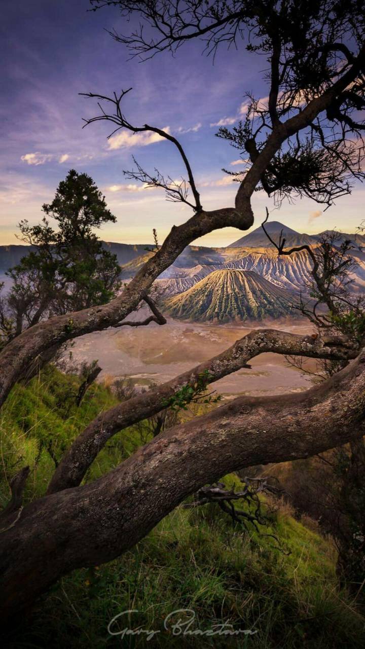 720x1280 Bromo wallpaper