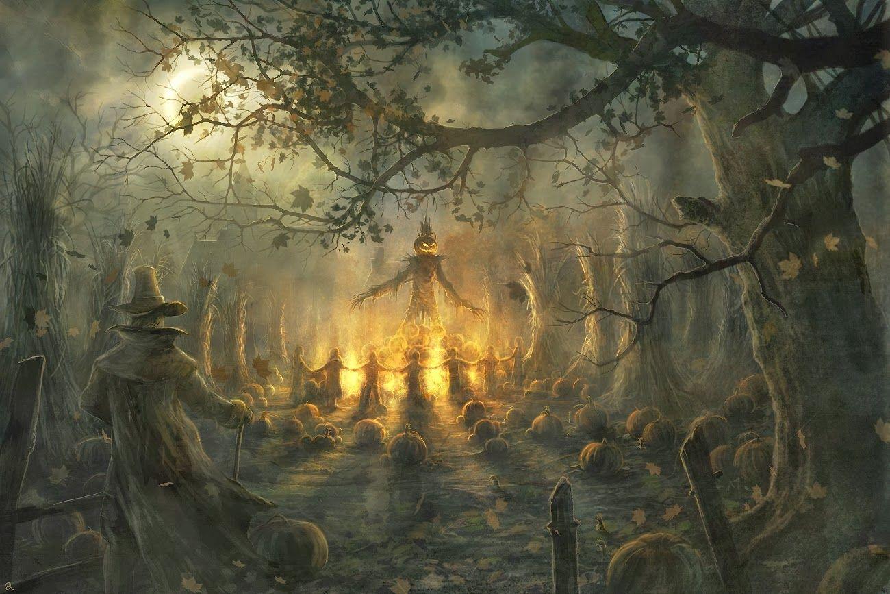 1300x867 HD Wallpaper. Funny Videos. Hot Girls Photo. Amazing Wallpaper. Funny Picture: Dark Forest Wallpaper