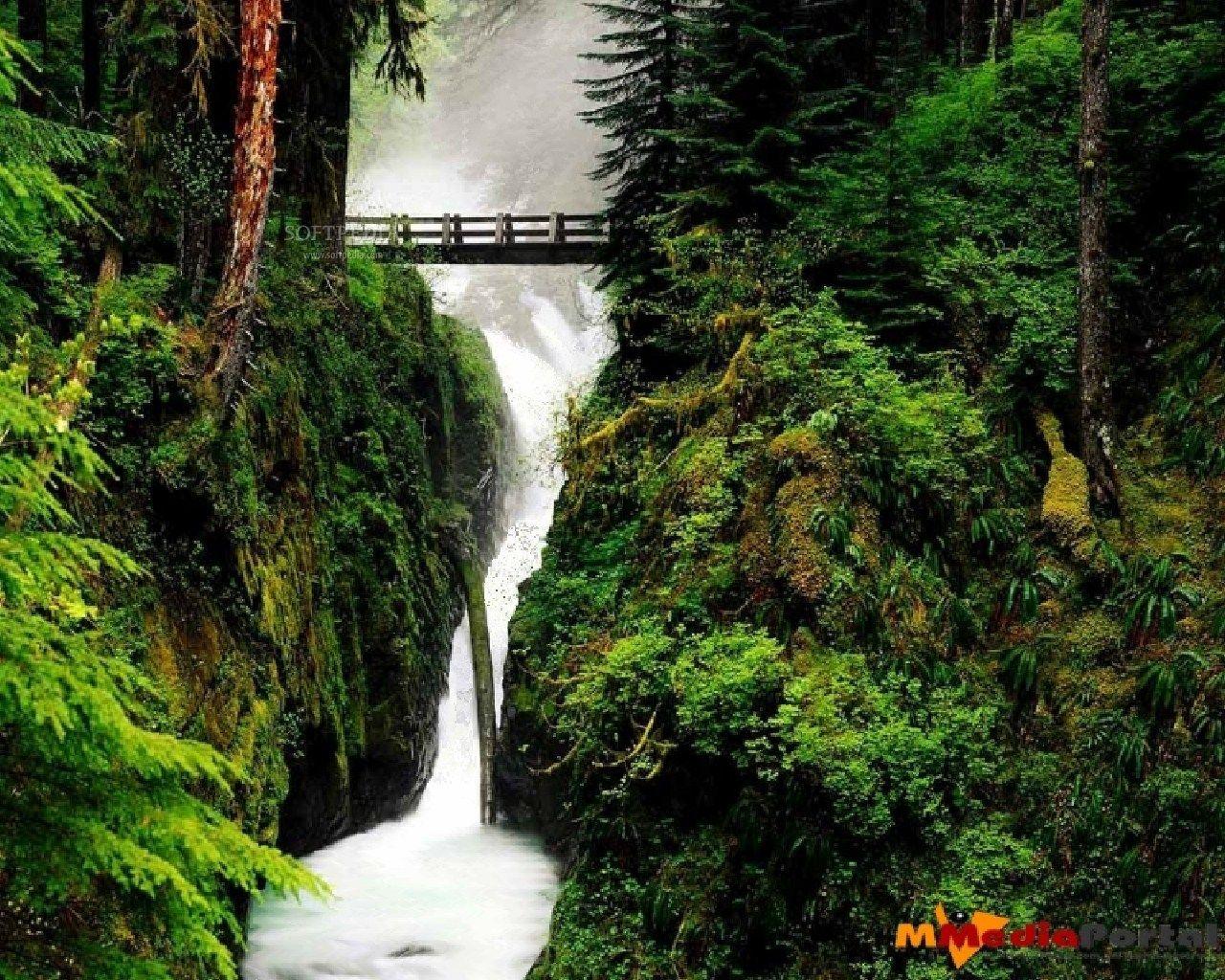 1280x1024 Forest Wallpaper. Beautiful Forest Wallpaper, Amazing Forest Wallpaper and Fall Forest Wallpaper
