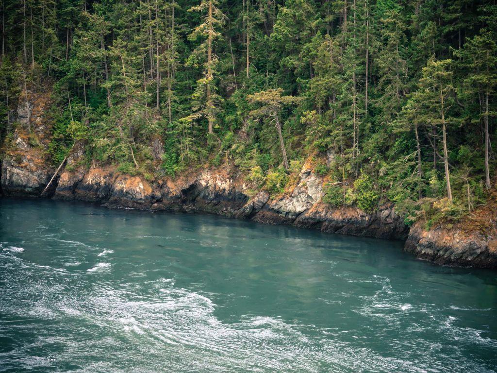 1024x768 Pacific 4K wallpaper for your desktop or mobile screen free and easy to download