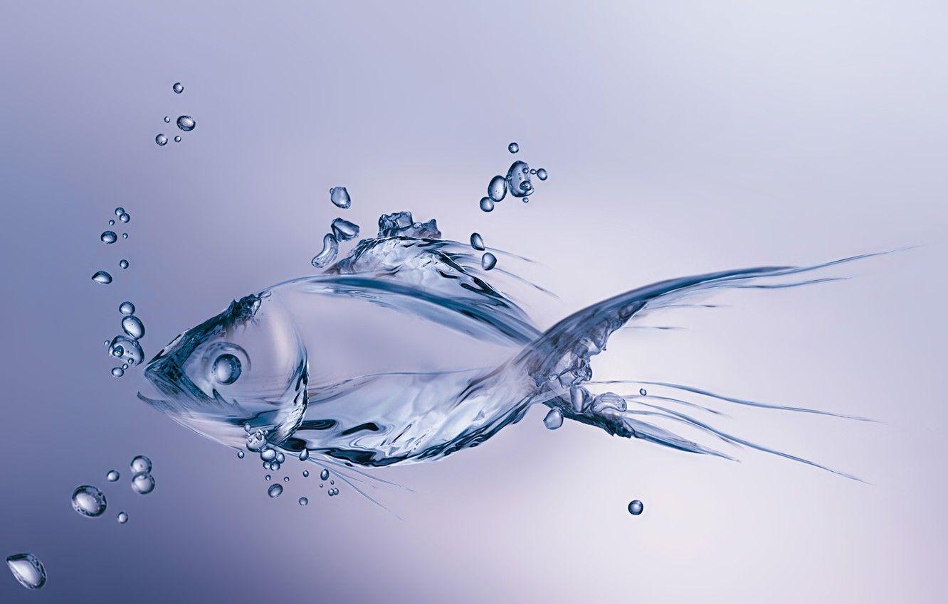 1332x850 Wallpaper water, bubbles, minimalism, fish, bubbles, minimalism, water, figure, fish, made, made image for desktop, section минимализм