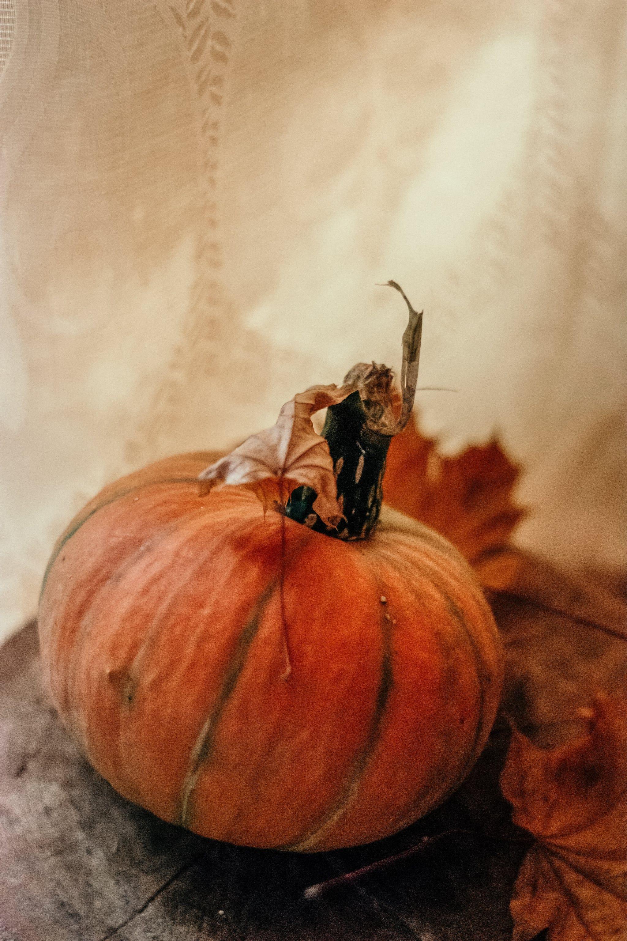 2048x3072 Best IOS 14 Fall Wallpaper For Your Home Screen Aesthetic