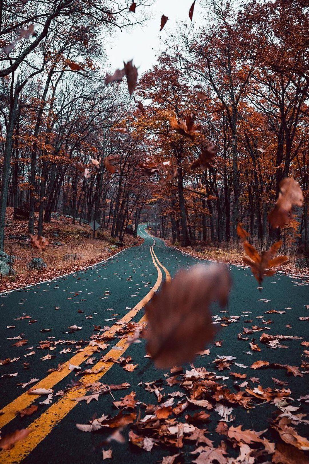 1080x1621 Fall Aesthetic, iPhone, Desktop HD Background / Wallpaper (1080p, 4k) (1080x1621) (2020)