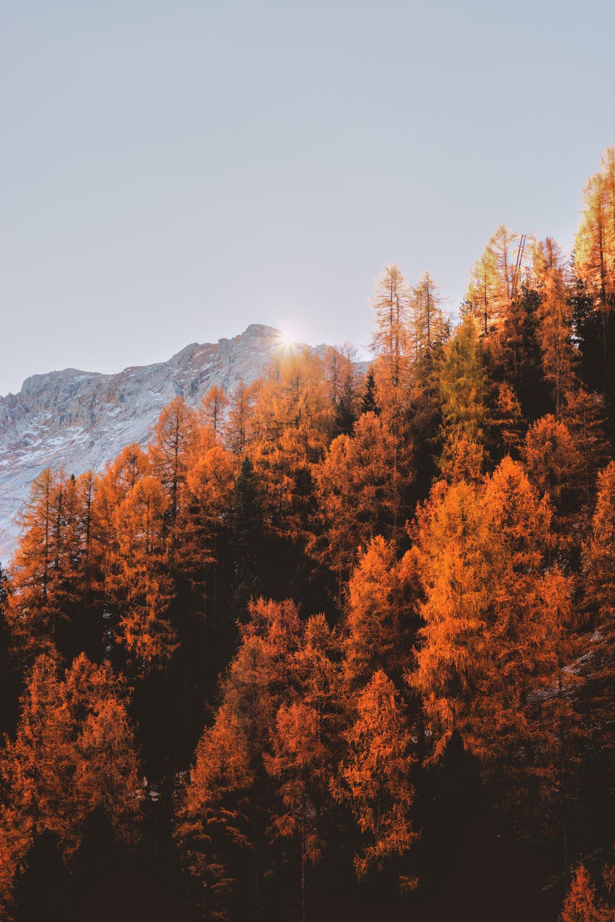 2048x3067 Fall Cozy iPhone Wallpaper