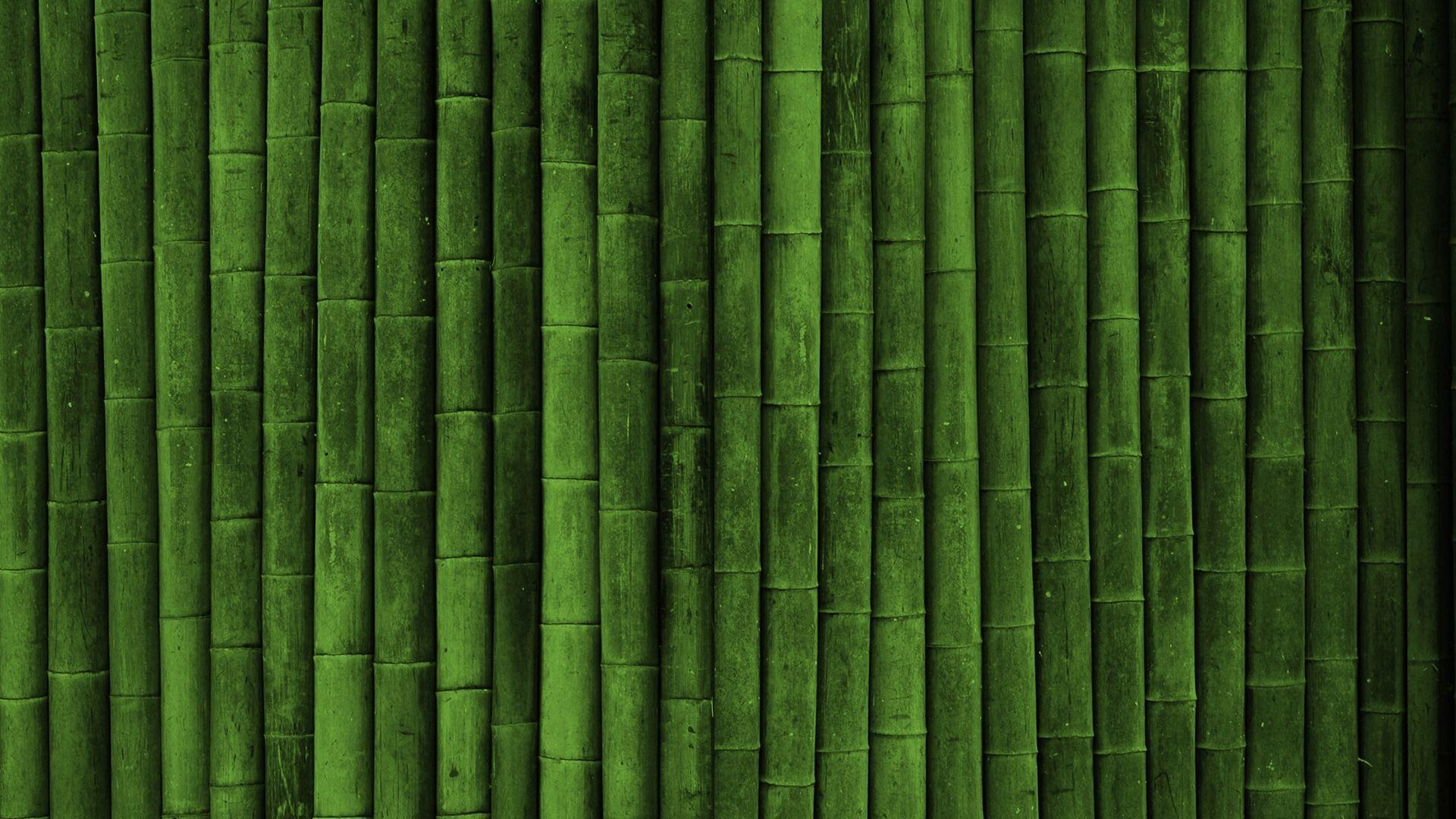 1920x1080 Widescreen Wallpaper 21197 1920x1080 px