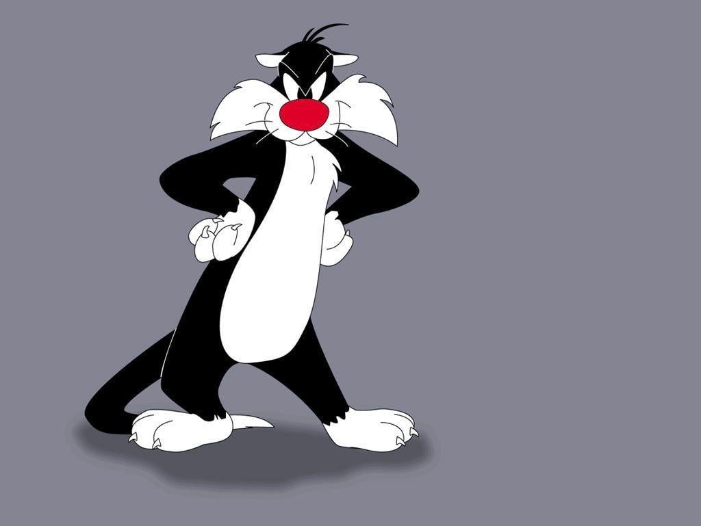 Sylvester The Cat Wallpapers - Top Free Sylvester The Cat Backgrounds -  WallpaperAccess
