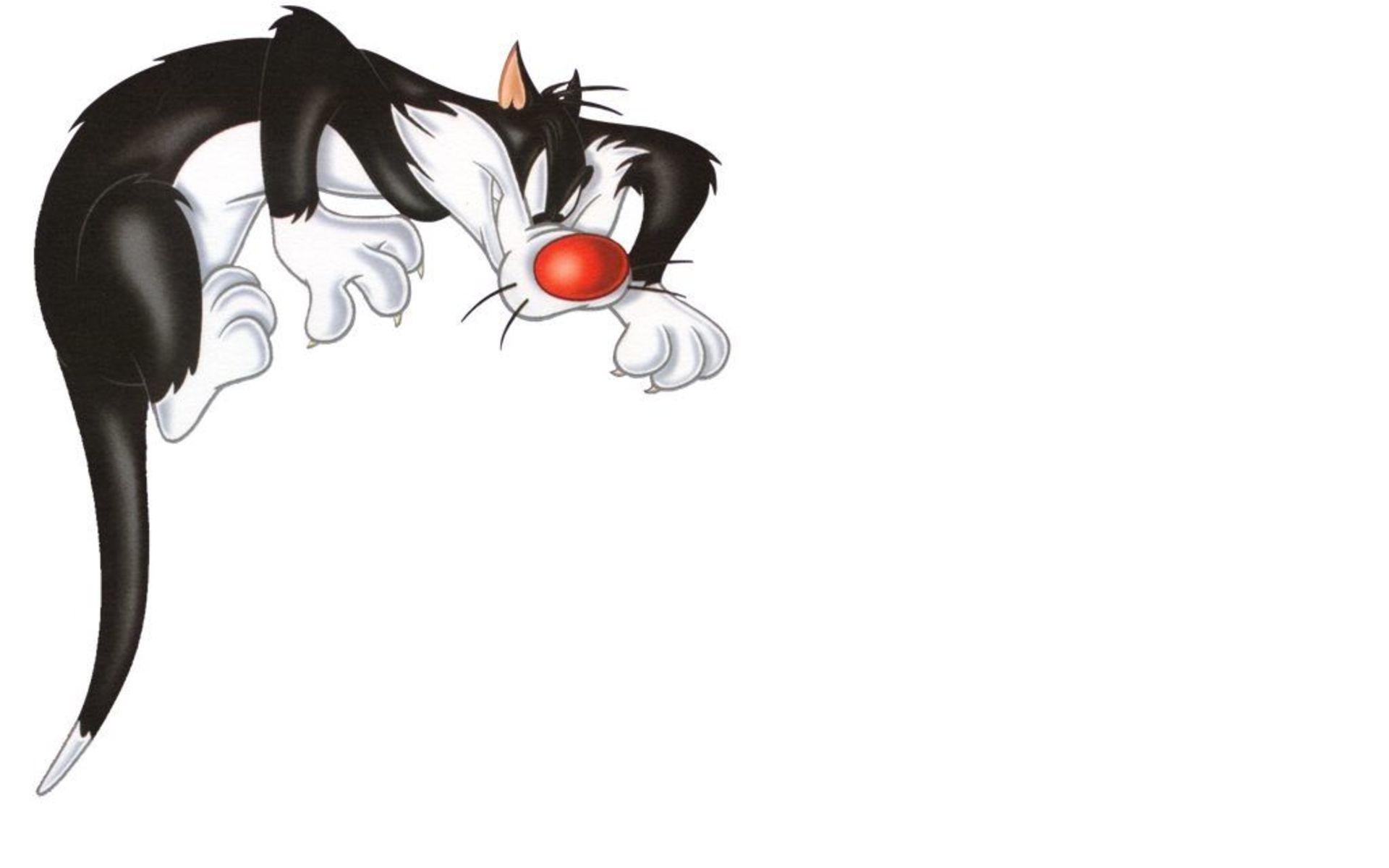 1920x1200 SYLVESTER looney tunes wallpaperx1200