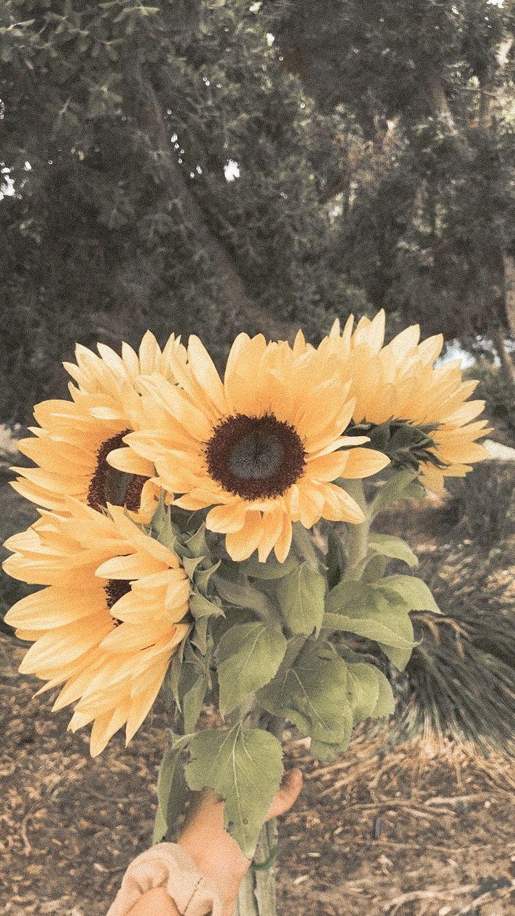 750x1334 Vintage Aesthetic Wallpaper