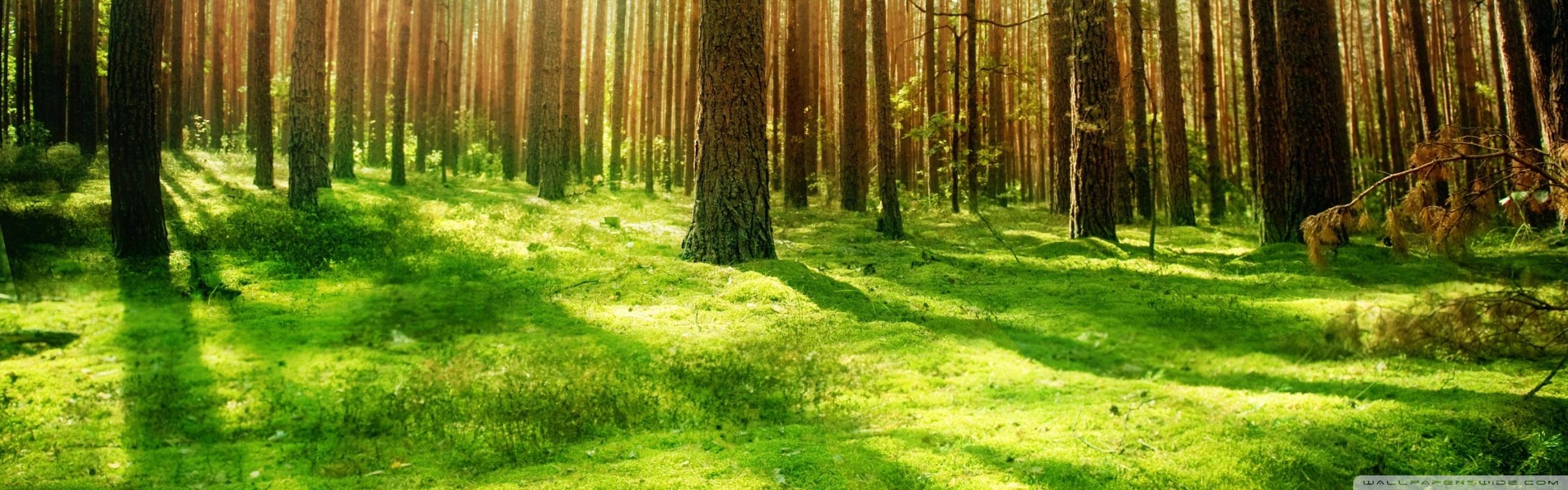 2560x800 HD Wallpaper Wide
