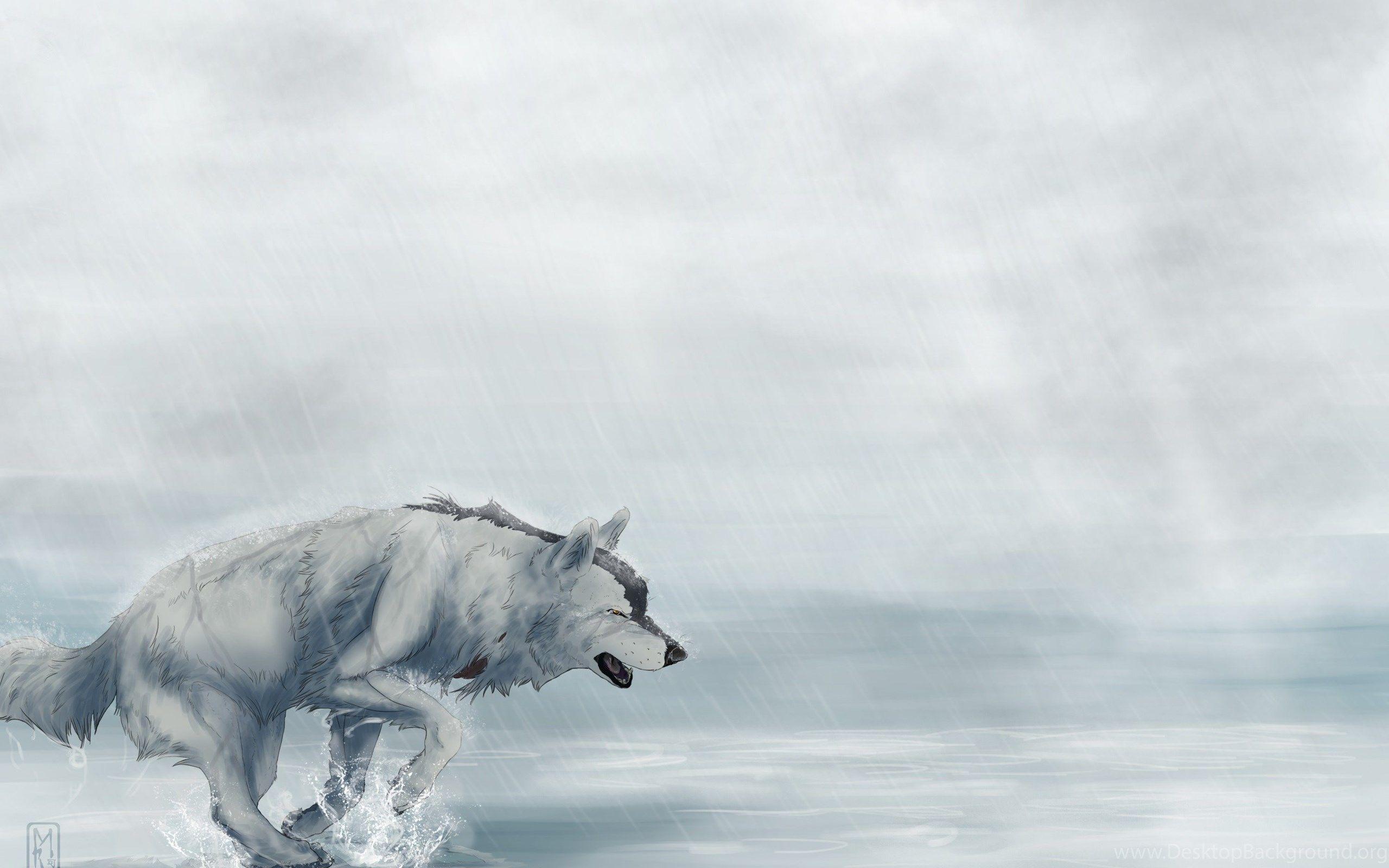 2560x1600 Cool Animated Wolf Wallpaper Desktop Background