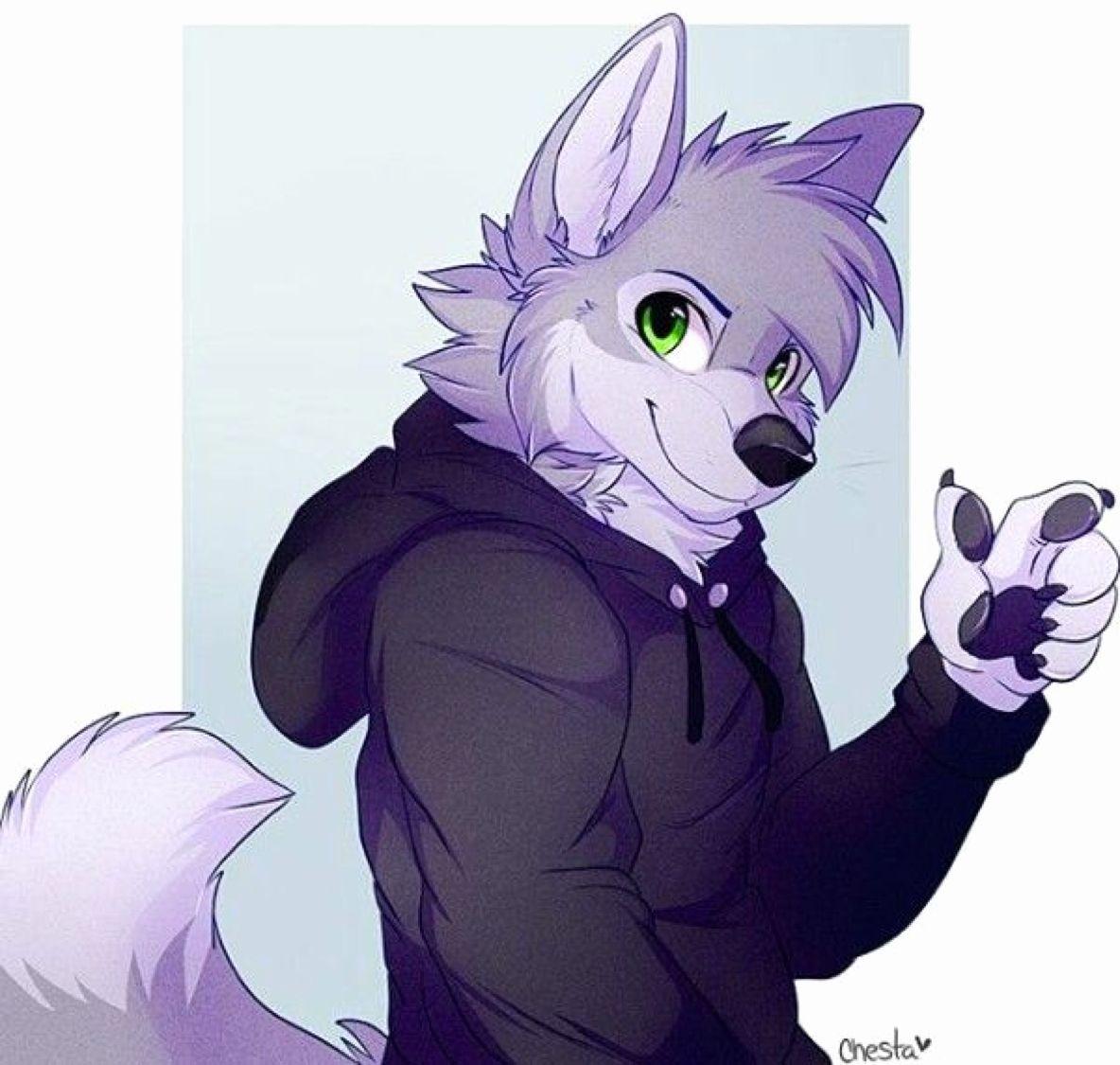 1184x1125 Furry Wolf Wallpaper Luxury 81 Best Cute Anime Wolves 736x552 78 68 Kb This Week of The Hudson