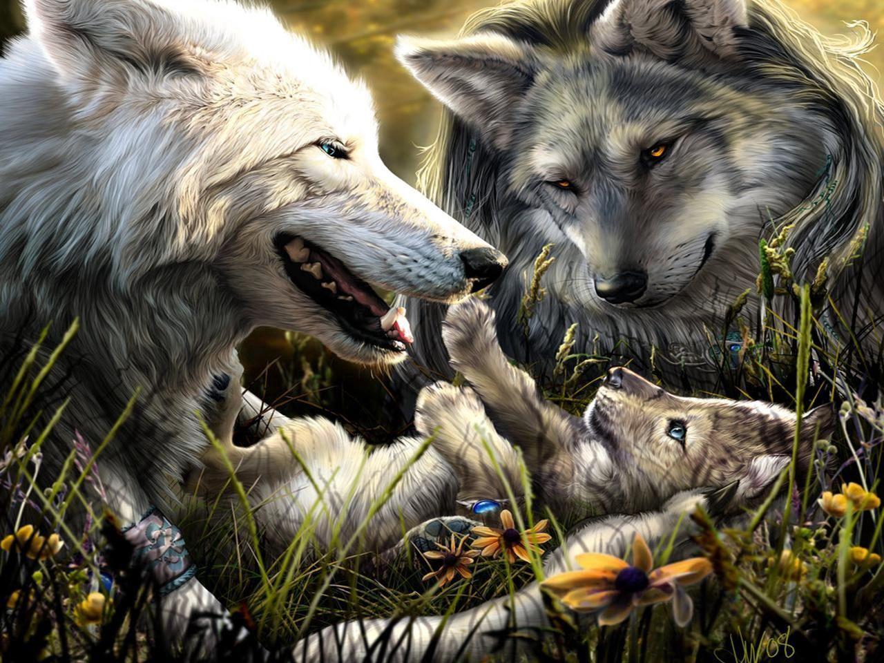 1280x960 Download wallpaper 1280x960 wolves, family, birth, love, kid standard 4:3 HD background