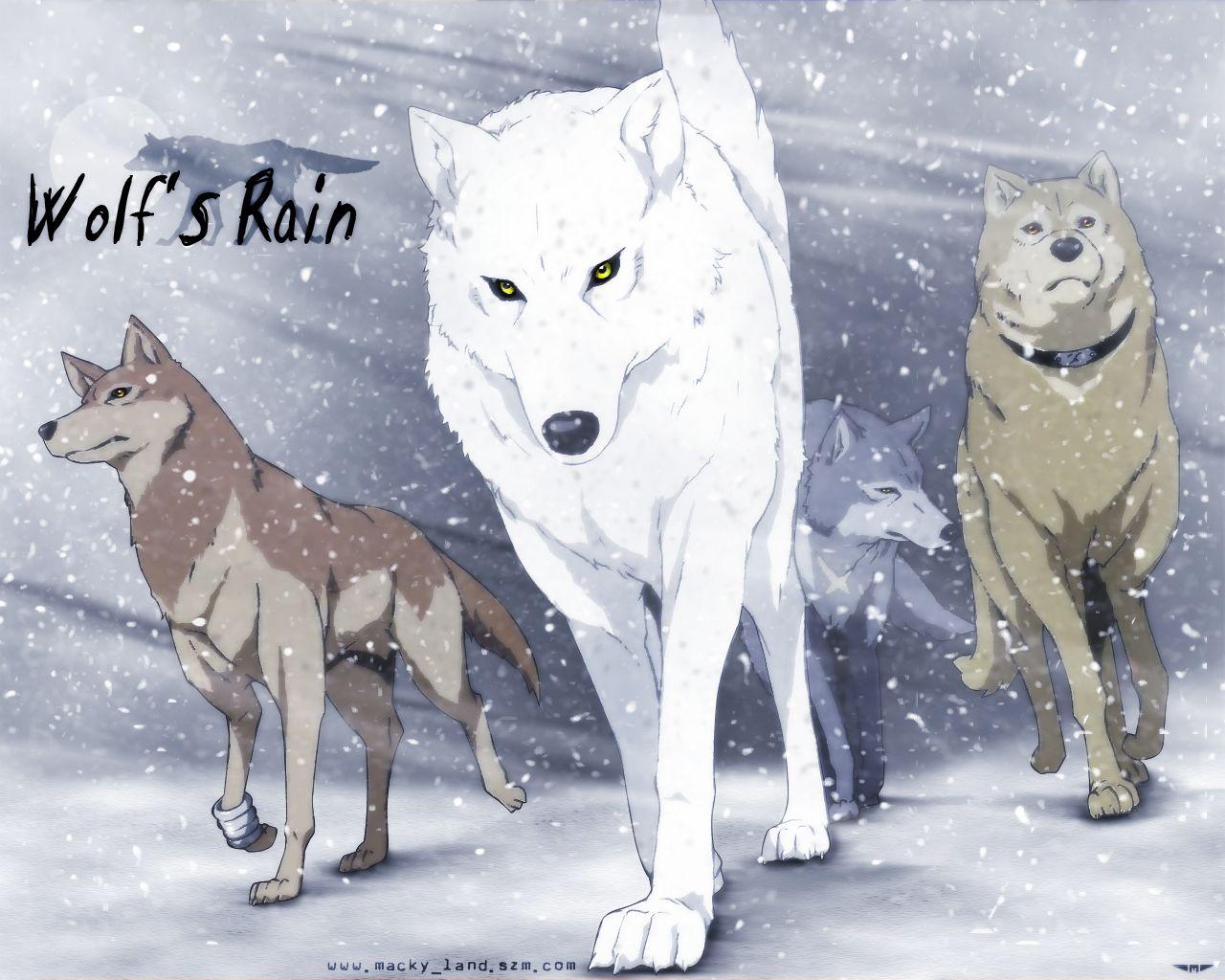 1280x1024 Wolf's Rain and Scan Gallery