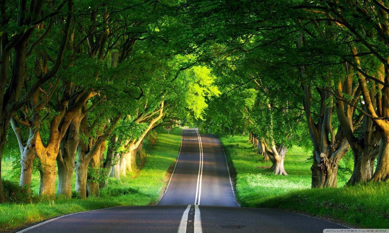 1280x768 Wide HD Wallpaper