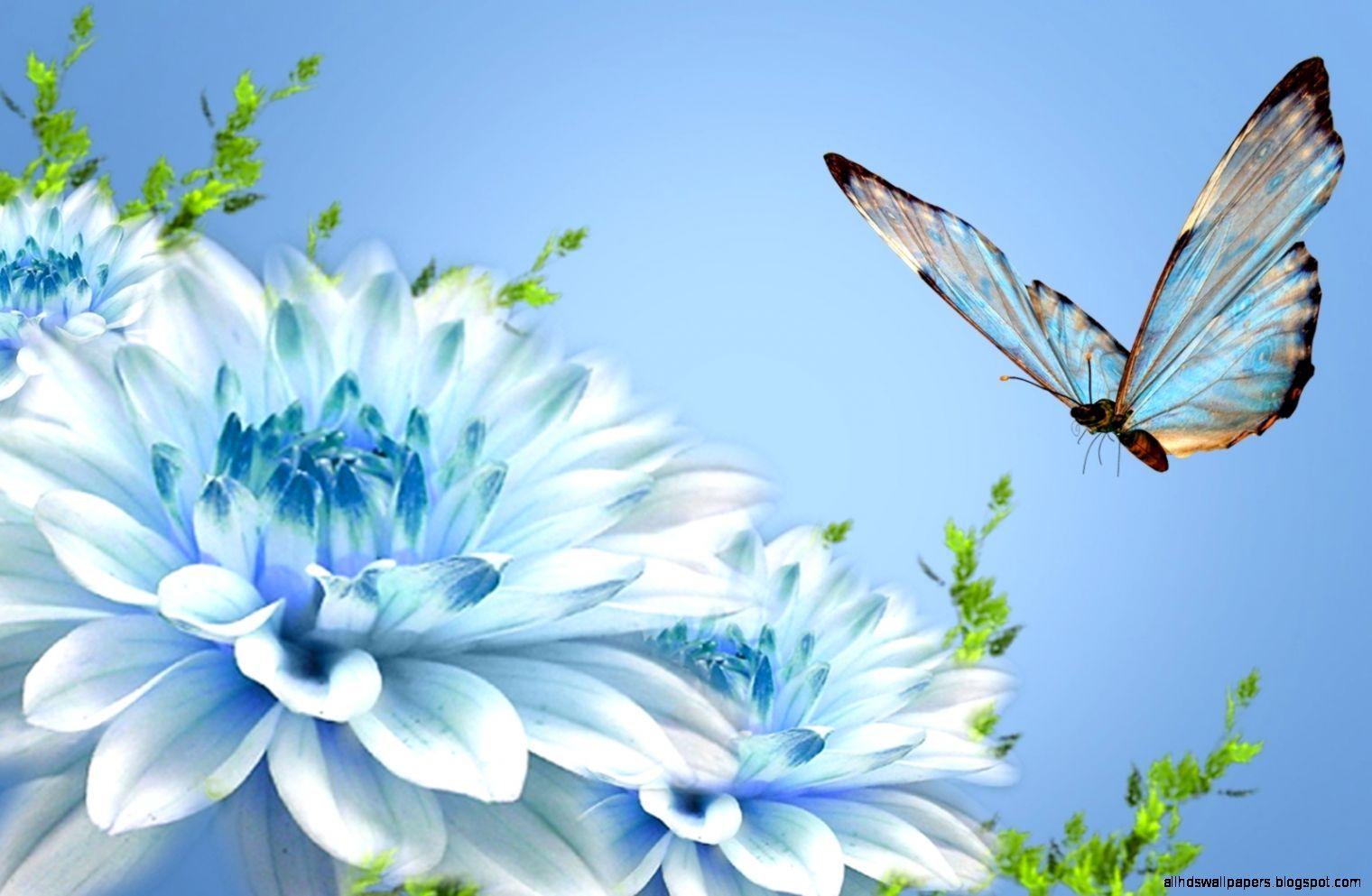 1520x993 nature wallpaper HD widescreen free download nature wallpaper HD