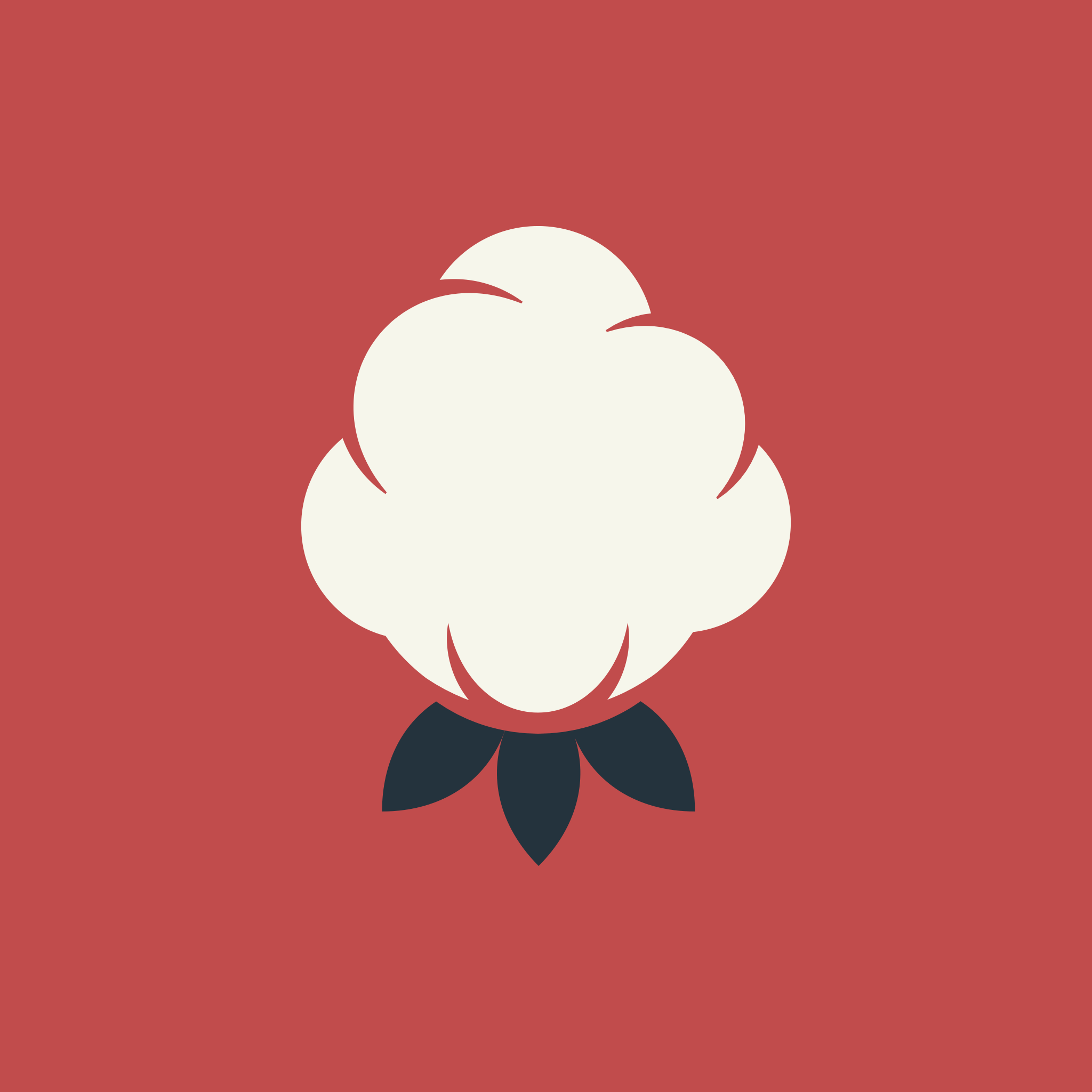 2048x2048 Rebranding America