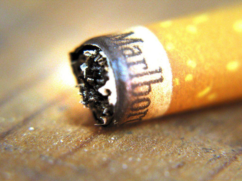 1024x768 Free download Picture Blog Marlboro Cigarette Image [1024x768] for your Desktop, Mobile & Tablet. Explore Marlboro Wallpaper. Marlboro Wallpaper, Marlboro Wallpaper
