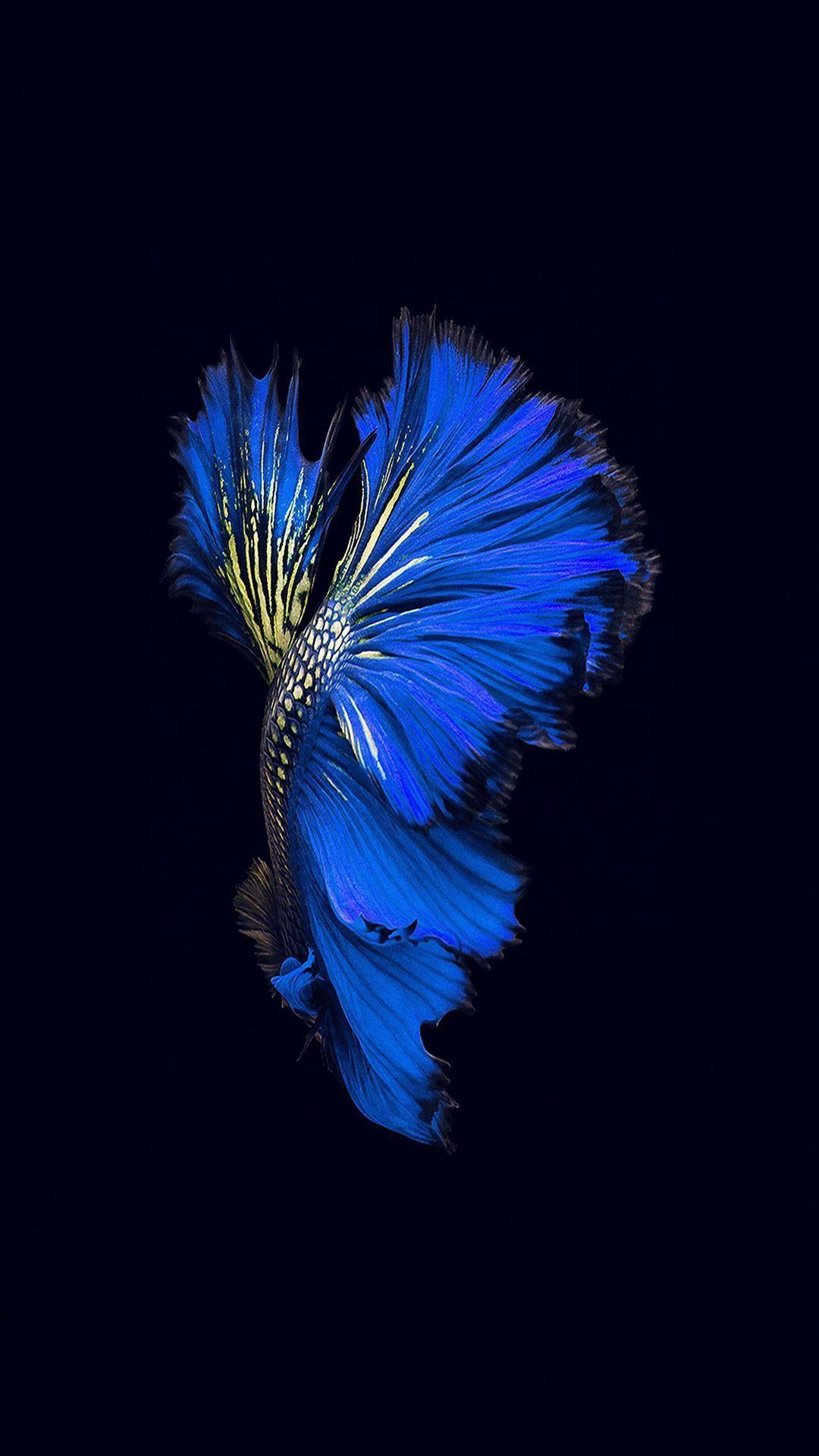 1080x1920 iPhone 7 Stock 4k Wallpaper