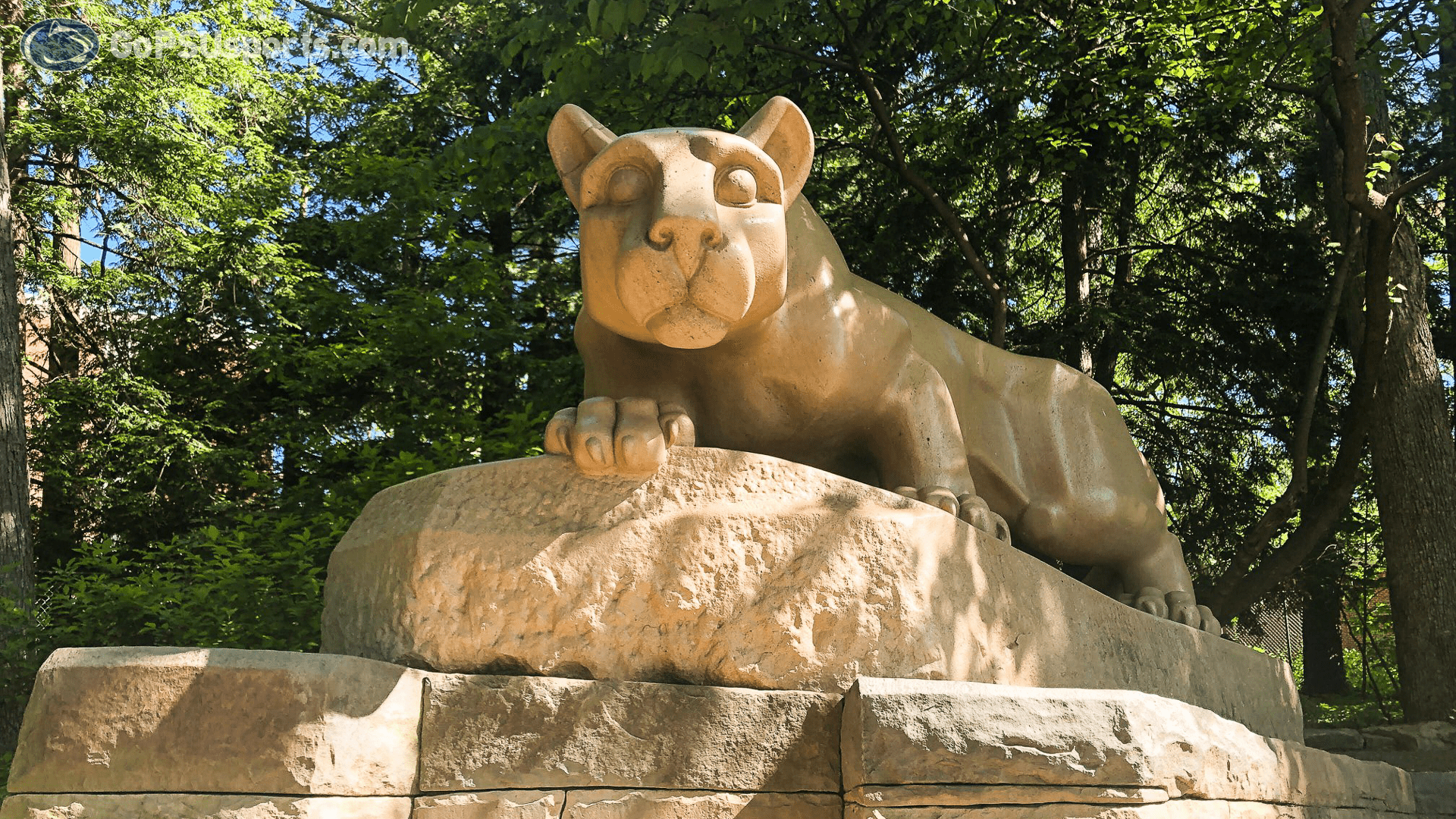 1920x1080 Wallpaper and Background State University Athletics