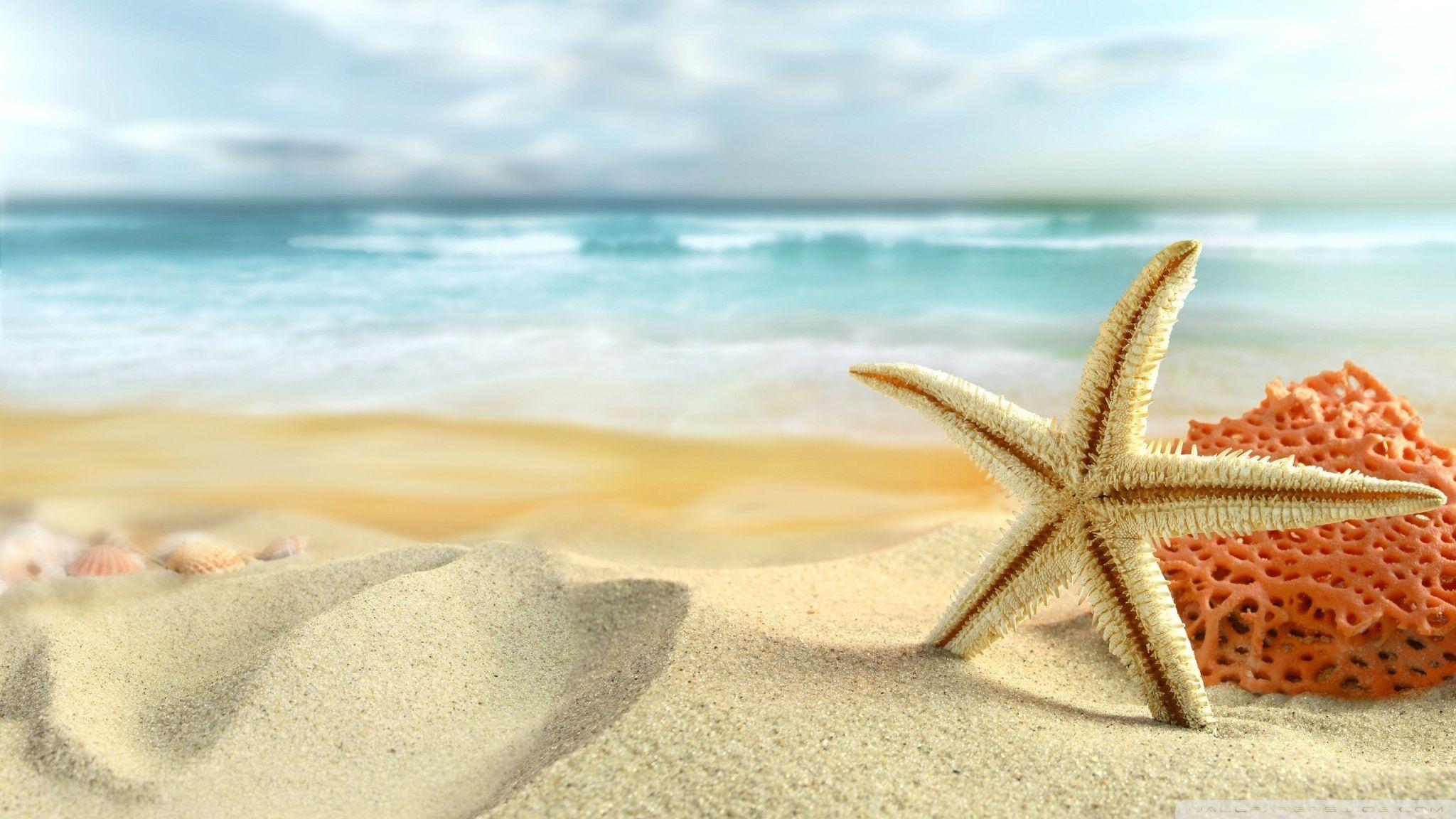 2048x1152 Cute Beach Wallpaper Free Cute Beach Background - Nature wallpaper, Beach wallpaper, Area rug decor