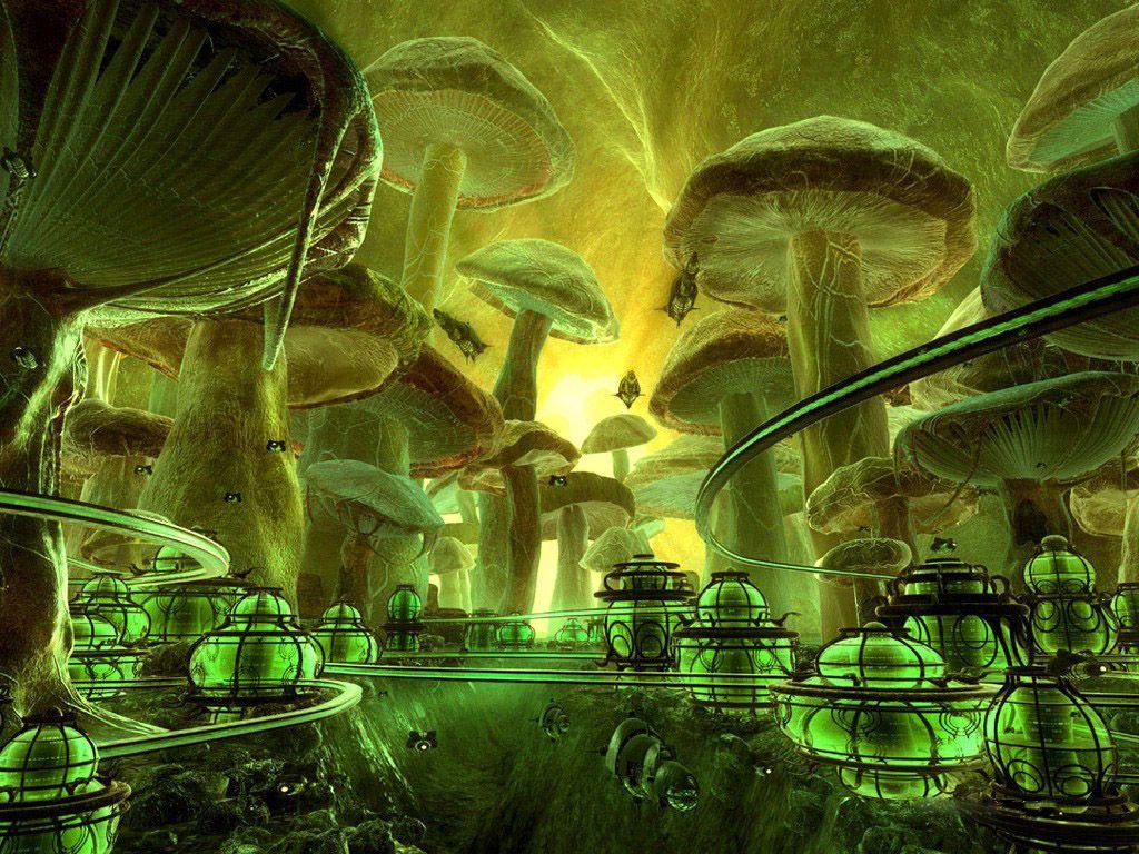 1024x768 Infected Mushroom Wallpaper Group (59)