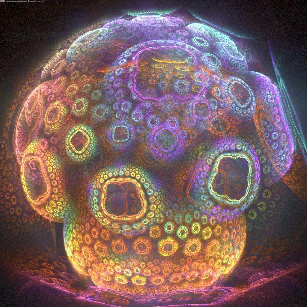 1024x1024 Magic Mushroom