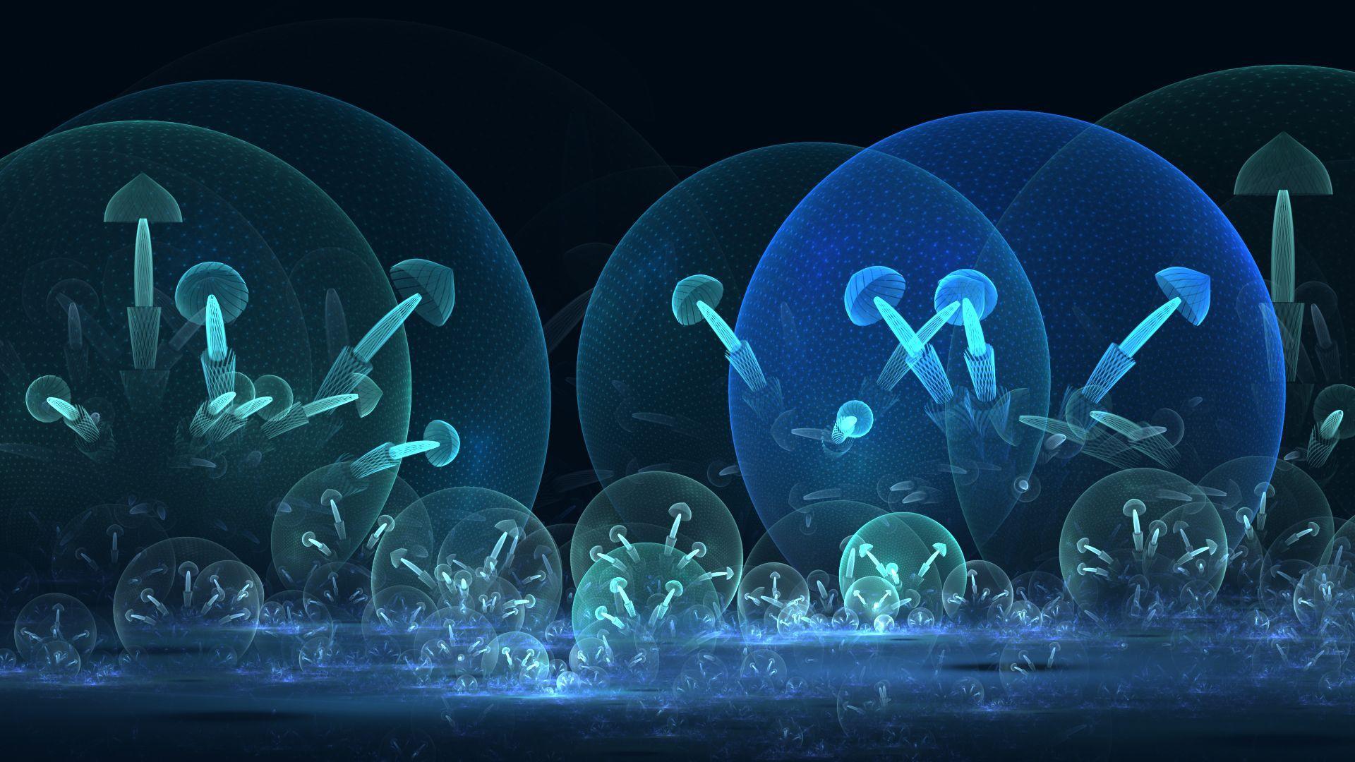 1920x1080 Magic Mushroom Wallpaper