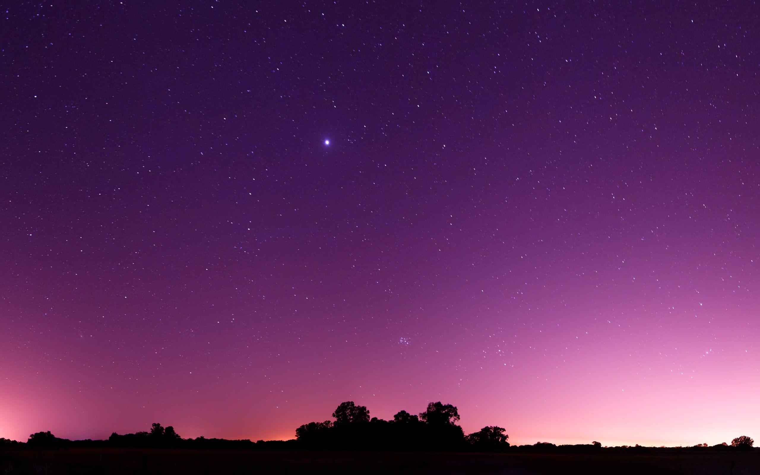 2560x1600 Purple Theme Wallpaper