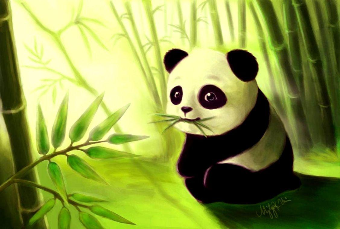 1127x760 Anime Panda Wallpaper