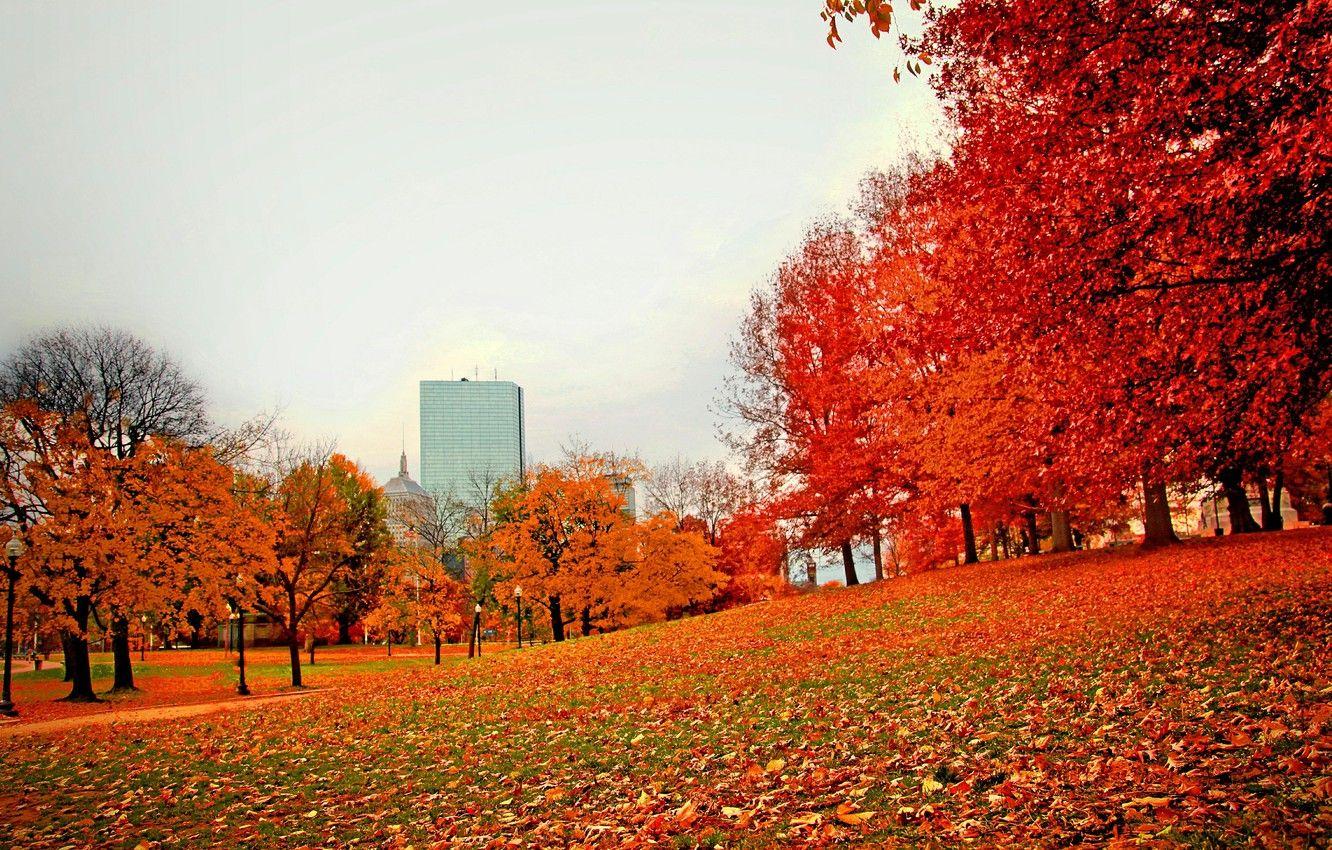 Boston Autumn 4K Wallpapers - Top Free Boston Autumn 4K Backgrounds ...