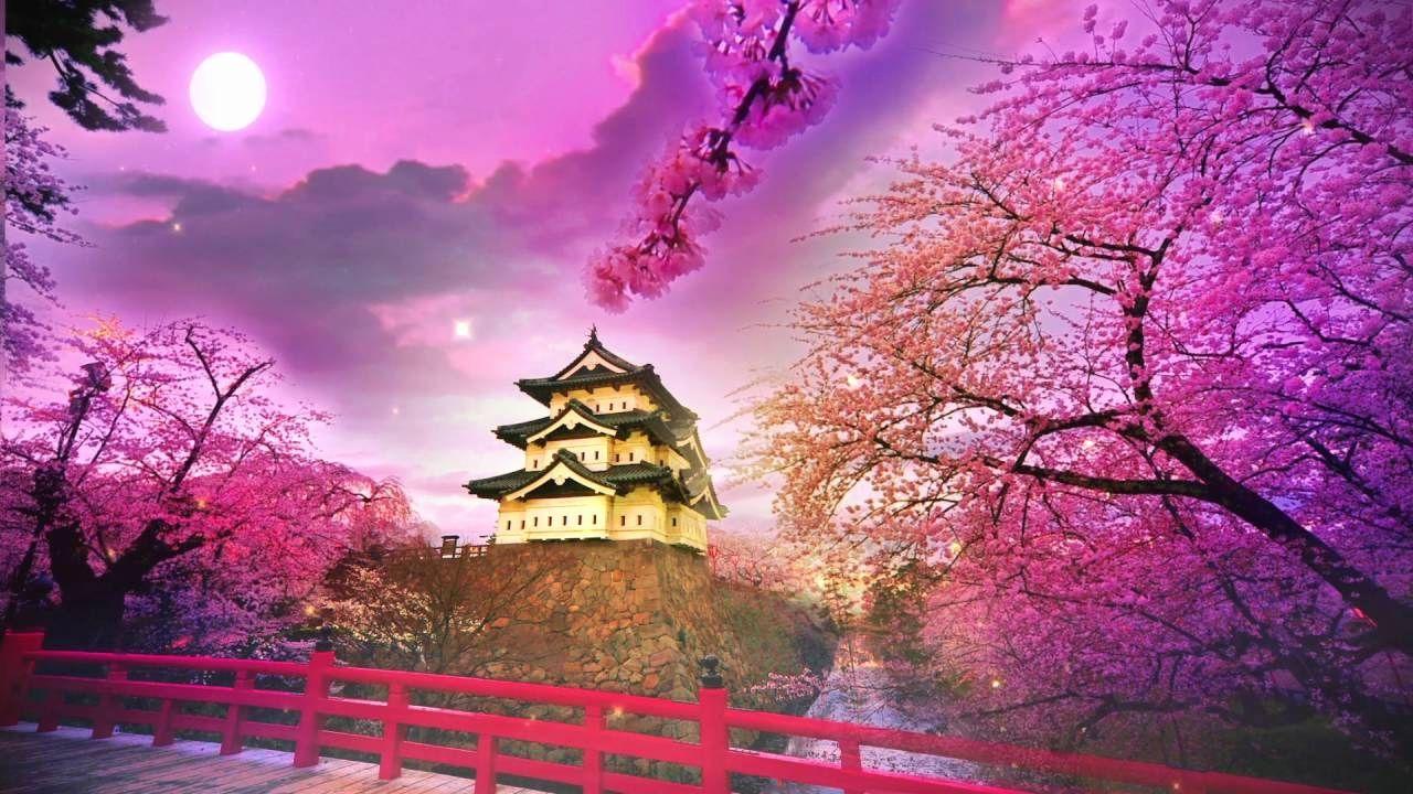 Purple Japanese Wallpapers - Top Free Purple Japanese Backgrounds