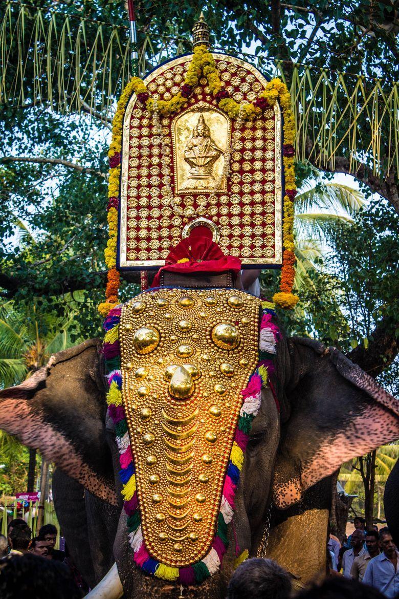 780x1170 Elephant bearing Thidambu Festival in Kerala, India. Dance of india, Kerala, India culture