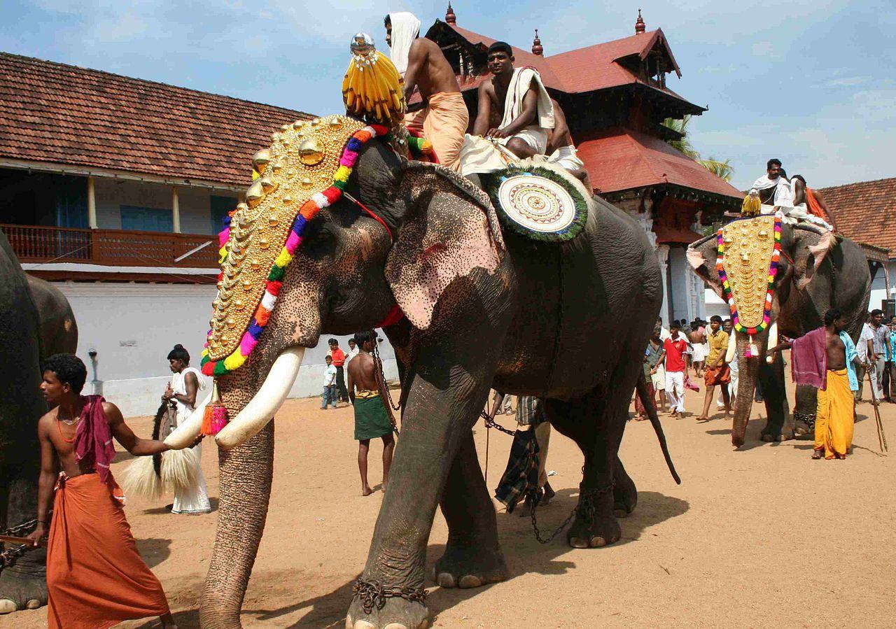 1280x899 Kerala Temple Sets An Example By Replacing Elephants With Wooden Structures For Festivals