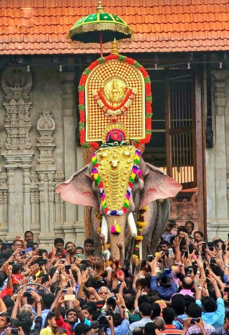 750x1097 #keralism ♥ ♡ ♥ ～(^з^)-♡. Elephant photography, Kerala india, Amazing india
