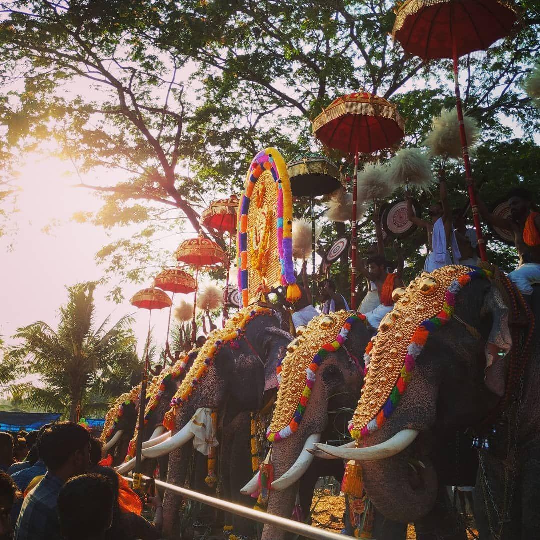 1080x1080 Watch the Best YouTube Videos Online - #kerala #aana #aanakambam #aanapremi #elephants #elephant #pooram #keralagodsow. Aesthetic wallpaper, Elephant, Wallpaper