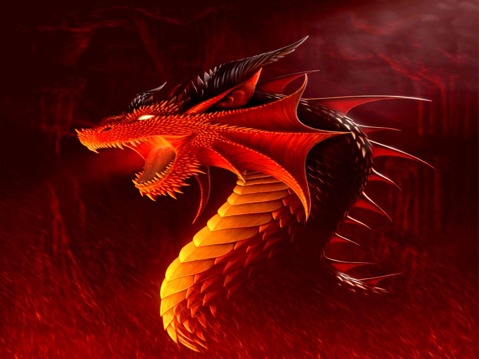 Red dragon HD wallpapers | Pxfuel