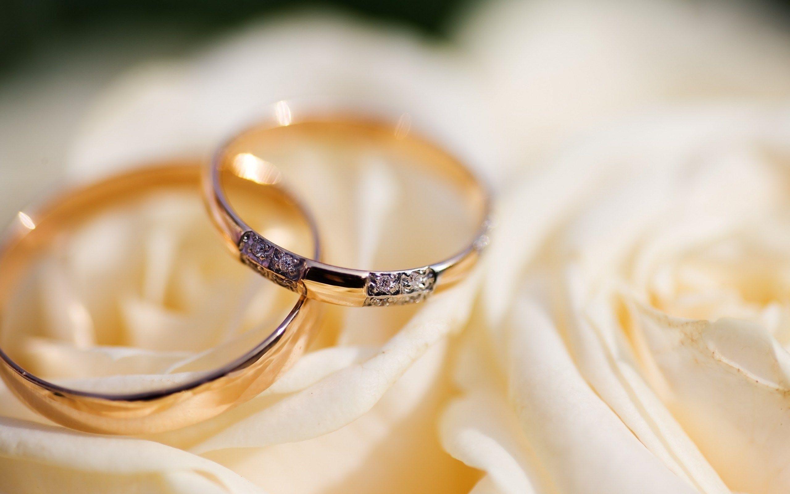 2560x1600 Wedding Rings Macro