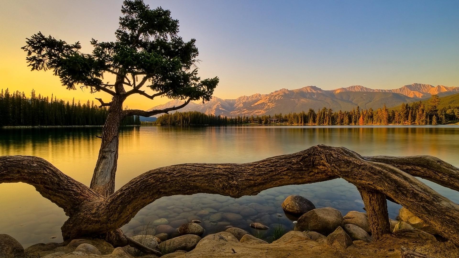 1920x1080 Relaxing Computer Background