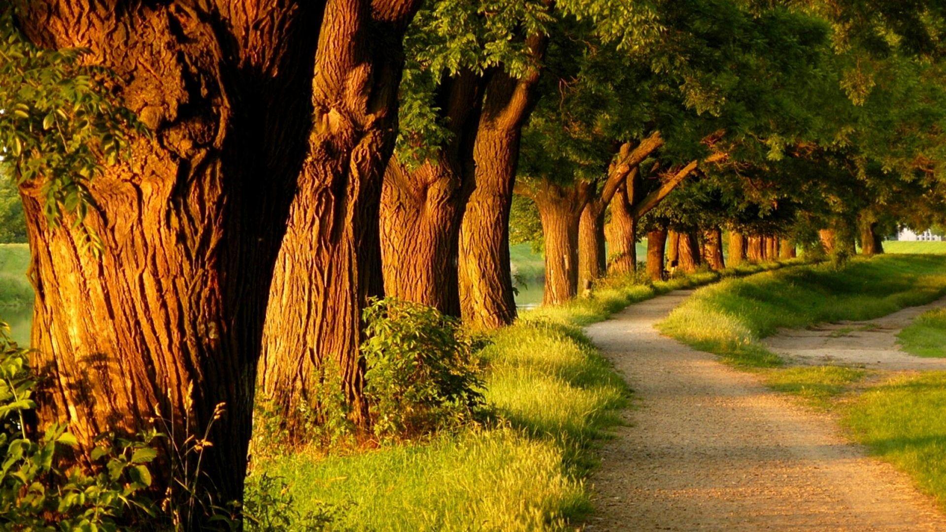 1920x1080 Free download Pics Photo Relaxing Wallpaper Desktop Wallpaper [1920x1200] for your Desktop, Mobile & Tablet. Explore Relaxing Desktop Wallpaper. Relaxing HD Wallpaper
