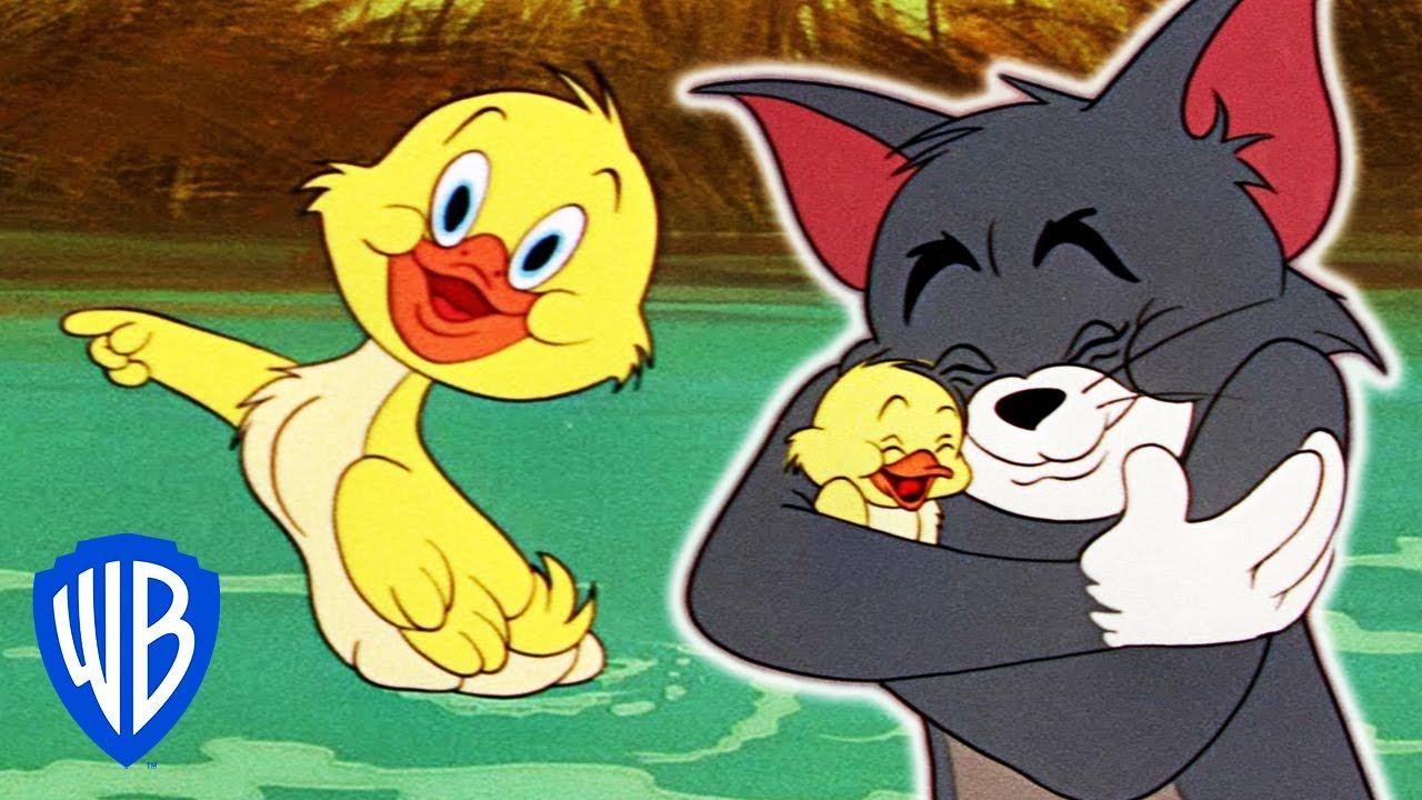 1280x720 Tom & Jerry. Best of Little Quacker. Classic Cartoon Compilation